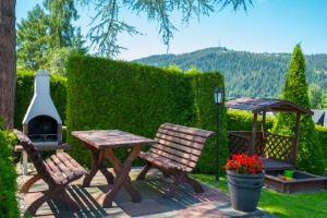 Фінська сауна у Forster House